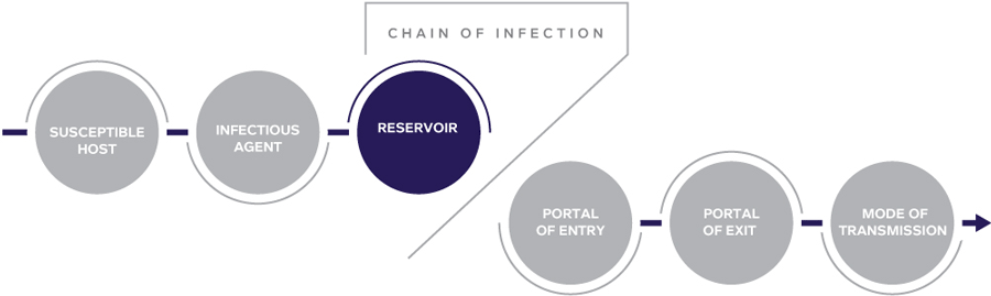CHAIN OF INFECTION